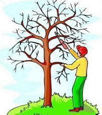 tree trimming clip art 10 free Cliparts | Download images on Clipground ...