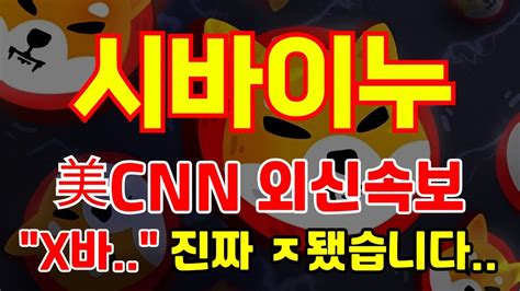 시바이누 코인 美cnn 긴급 외신 속보 전달 하 X바 진짜 ㅈ됐습니다 시바이누코인전망 시바이누코인분석