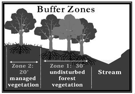 Riparian Buffer Protection | Pitt County, NC