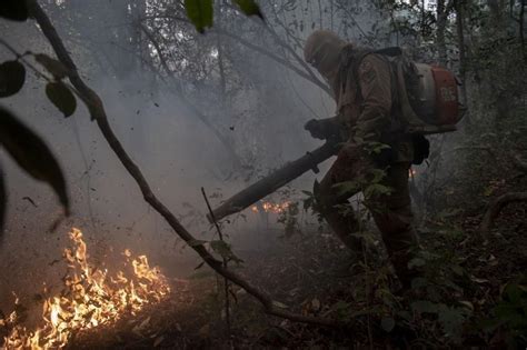 Queimadas No Pantanal Imagens Mostram Destrui O Na Regi O