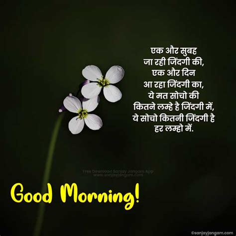 Good Morning Quotes With Flower In Hindi Best Flower Site