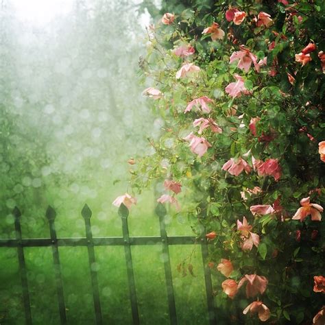 Sprinkles Of Rain Pictures, Photos, and Images for Facebook, Tumblr ...