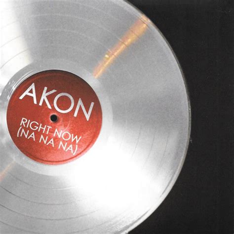 Akon – Right Now (Na Na Na) | Releases | Discogs