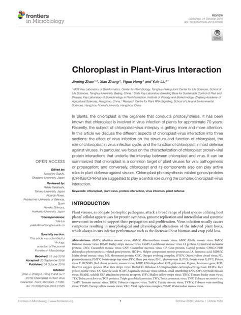 Pdf Chloroplast In Plant Virus Interaction