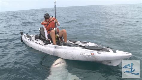 Shocking Shark Fishing Catch Huge Bull Shark Caught From Kayak