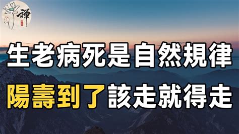 佛禪：人老了以後，要如何看待生死？佛說：陽壽到了，該走就得走！聽完感悟很深 Youtube