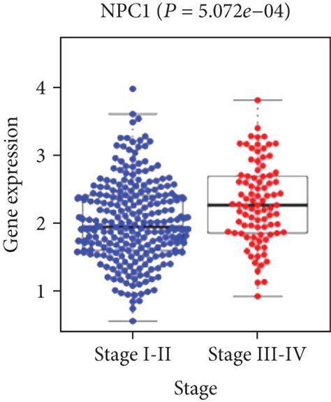 Correlation Between Model Genes And Clinical Characteristics Npc1