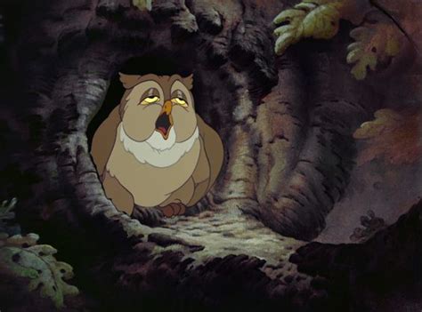 Owl ~ Bambi 1942 Disney Owls Pinterest Friends Movies And Disney Animated Classics