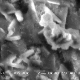 (a) scanning electron microscopy morphology images (a) 5 µm (b) 2 µm ... 