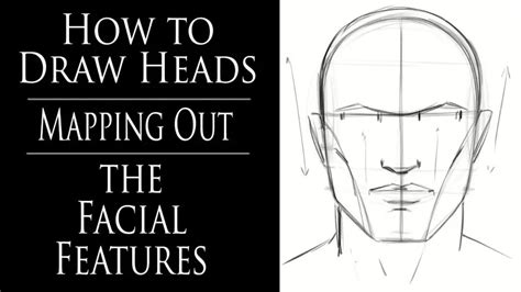 How to draw head - Front view using Andrew Loomis method - PaintingTube