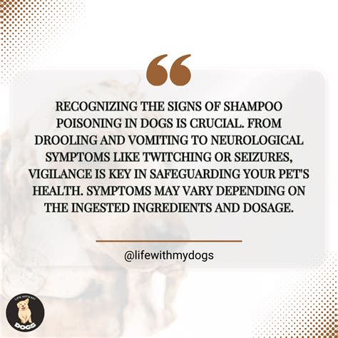 Dog Shampoo Ingredients to Avoid That Are Harmful - Life With My Dogs