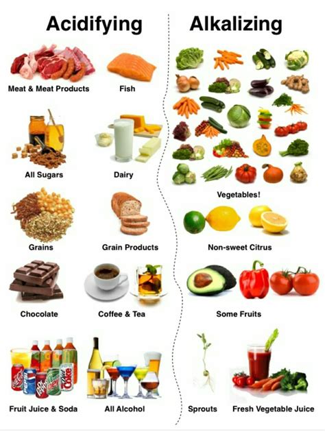 Alkaline Foods List, Alkalizing Foods, Acidic Foods, Alkaline Body, Benefits Of Alkaline Diet ...