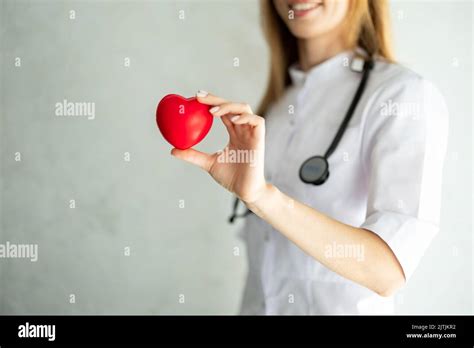 Woman Cardiologist Doctor Holds And Shows Heart Red Model In Clinic