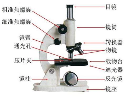 显微镜的使用方法、结构图及放大倍数 知乎