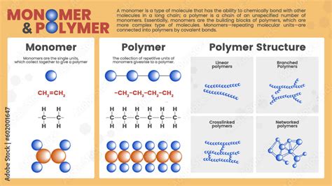 Monomers And Polymers With Complex Molecules Structure Formula And