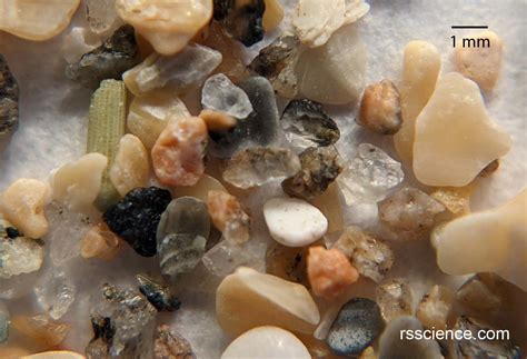 Sand Under A Microscope Rs Science