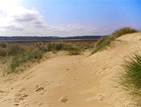 Sand Dune Holkham Beach Phillip Thornton Flickr