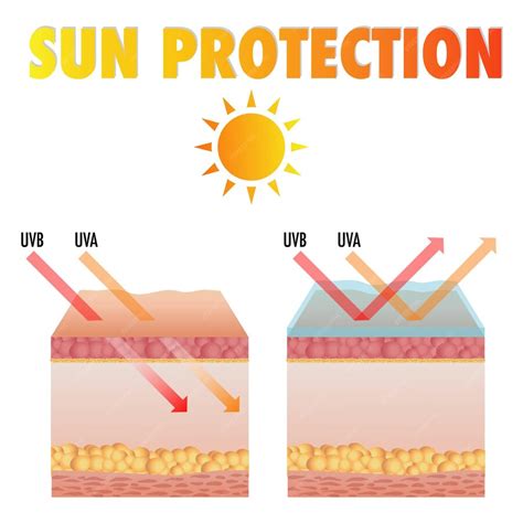 Premium Vector | Sun skin protection. damaged human skin peels before ...