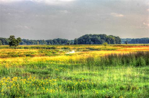 Wetlands at Chain O Lakes State Park, Illinois image - Free stock photo