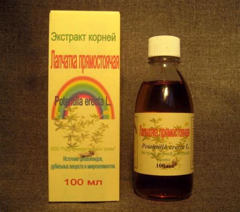 Лечебные напитки из лапчатки прямостоячей