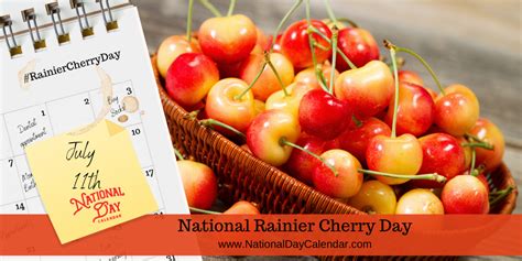 National Rainier Cherry Day July 11 Rainier Cherries Fun Cooking