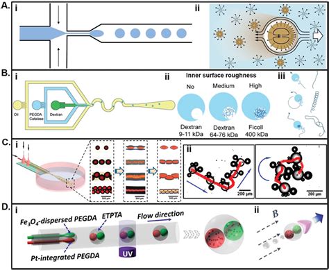 A Illustration Of I The Microfluidic Flow Focusing Device For Active