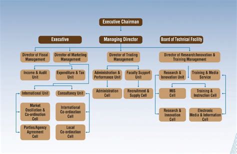 Organization Chart Talent Overseas Services Pvt Ltd