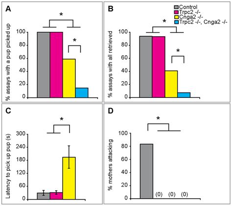 Odor Evoked Activity In The MOE And VNO Is Required For Maternal