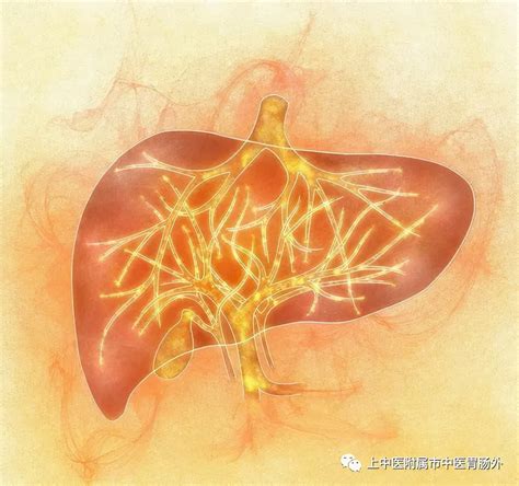 胆结石怎么治疗最好方法（胆囊结石是怎么形成的？怎么治疗最好的方法？） 说明书网