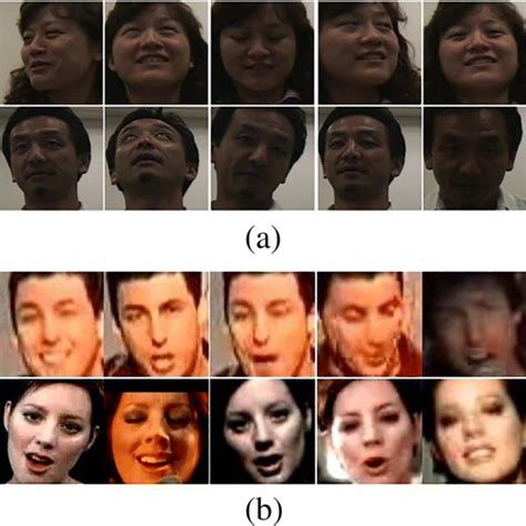 Facial Landmark Extraction On Youtube Celebrities Dataset Download