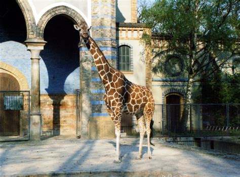 Berlin-Berlin Zoo