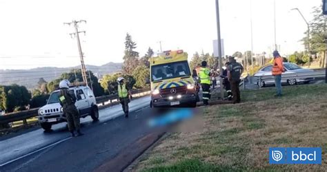 Hombre muere atropellado por camión cargado con leña en Temuco iba de