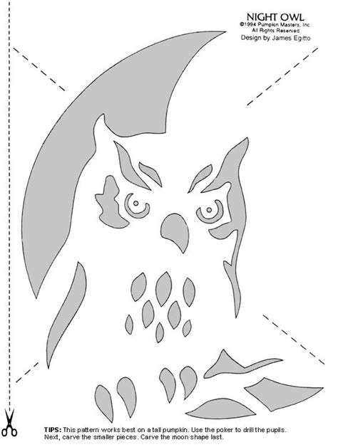 Carve Pumpkins Into Birds With These Stencils Owl Pumpkin Carving Owl Pumpkin Stencil