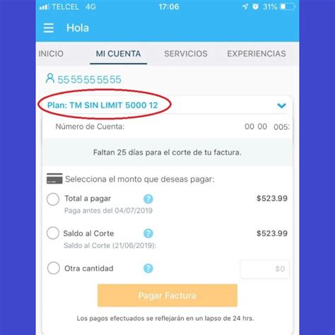 Como Puedo Saber El Saldo De Mi Celular Telcel Consejos Celulares