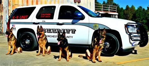 Dorchester County Sheriffs Office K 9 Unit Dorchester County Sc Website