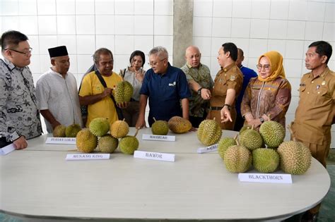 KemenKopUKM APDURIN Berkolaborasi Kembangkan Ekspor Durian Parigi