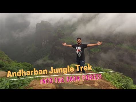 Andharban Jungle Trek Into The Dark Forest Kundalika Valley