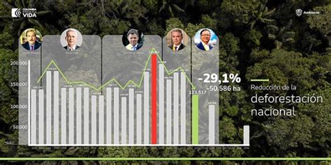 La Deforestación En Colombia Se Redujo En El 2022