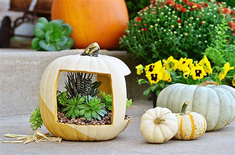 Diy Pumpkin Flower Planters Perfect For Fall Garden Lovers Club