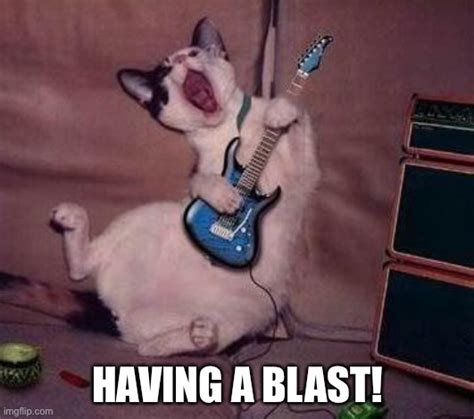 Guitar Cat Imgflip