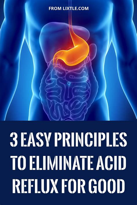 A Proven Holistic System For Curing Acid Reflux Permanently Within 30