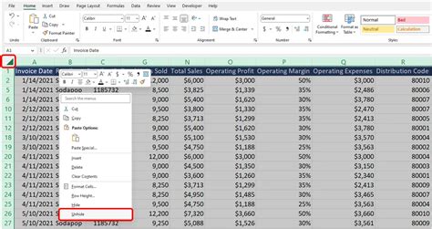 Unhide Columns And Rows In Excel With Examples Worksheets Library