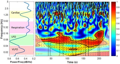 Wavelet Coherence Of Two Fnirs Channels Right Panel And Its