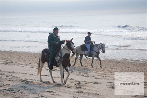 Saltwater Cowboys of the Chincoteague Volunteer Fire Department round up the Ponies each July ...