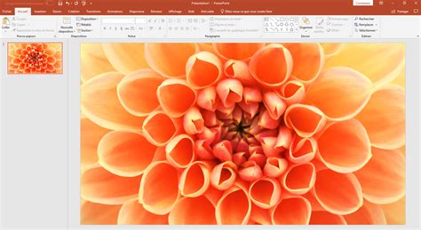 Comment Incruster Une Image Dans Du Texte Dans PowerPoint Articulate