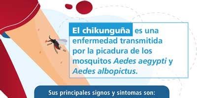 Chikungunya OPS OMS Organización Panamericana de la Salud