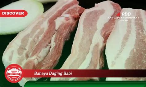 Intip Bahaya Daging Babi Yang Jarang Diketahui