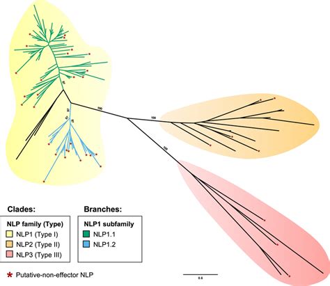 Phylogenetic Relationships Among 111 Predicted Necrosis And Download Scientific Diagram