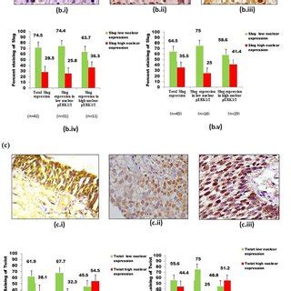 Representative Images Of Immunohistochemical IHC Staining Of Pan RAS