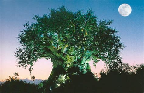 My Favorite Disney Postcards: Animal Kingdom - 9. Tree of Life